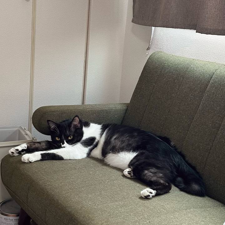 14a3d518 480f 413a 9de1 dafd456479b1 1770355767280