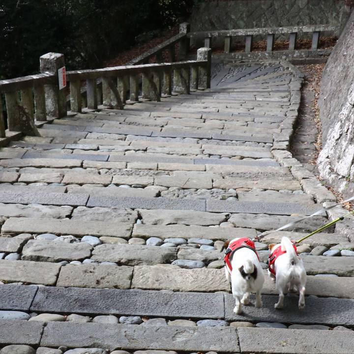 14a3e87b 14a3 4542 8078 1a6a1574ff21 1550895447620