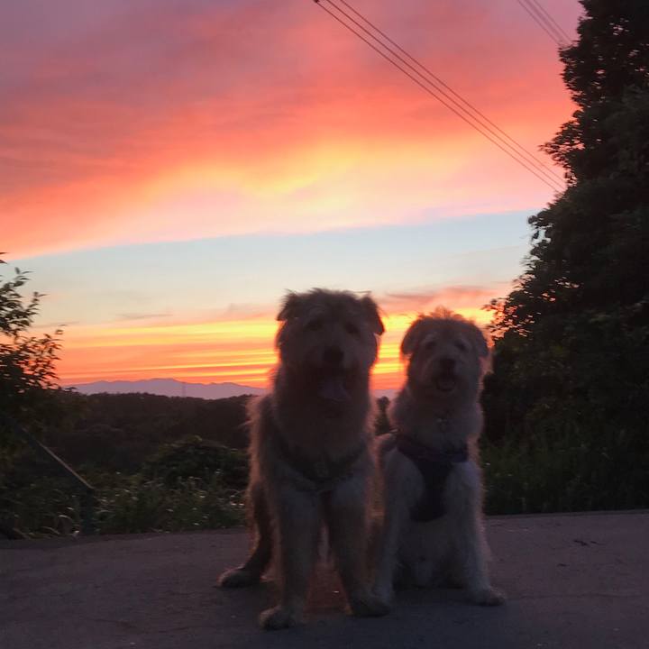 14a4100c ee4e 47fa 8879 754b914e2b70 1529838668064