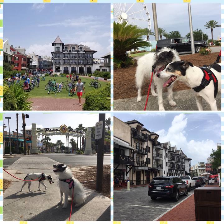 14a4116e a1df 4bf5 8df5 1b1c0a9db7ab 1561855601743