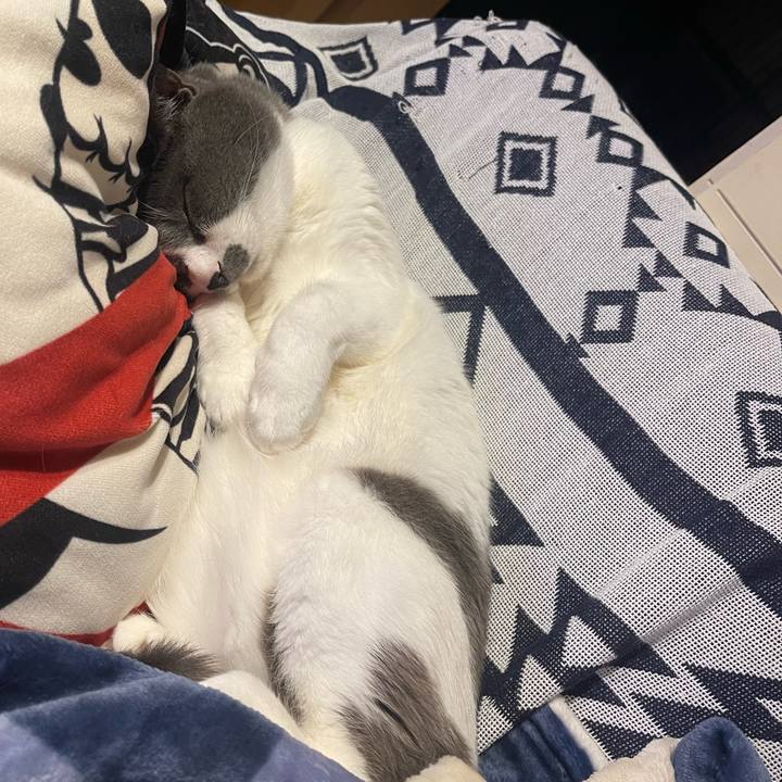 14a41e83 4d9d 4ed4 a067 b3fdd6c47879 1673960471897