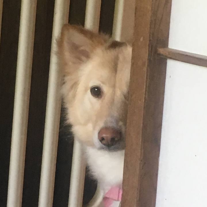 14a44690 9579 4c4d 8422 df3331aa56bb 1526773806426