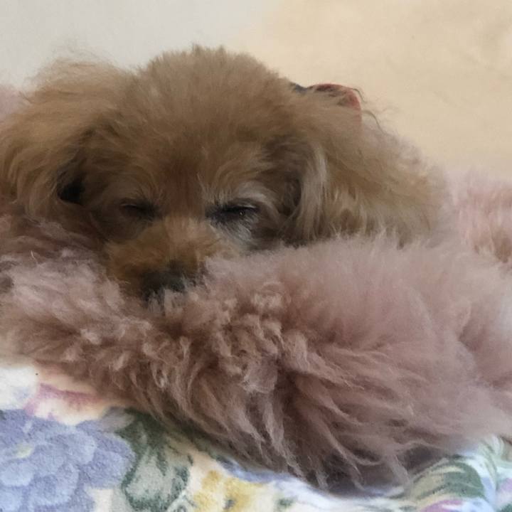 14a45263 c28d 42be ae98 5e71b749637d 1617200267511