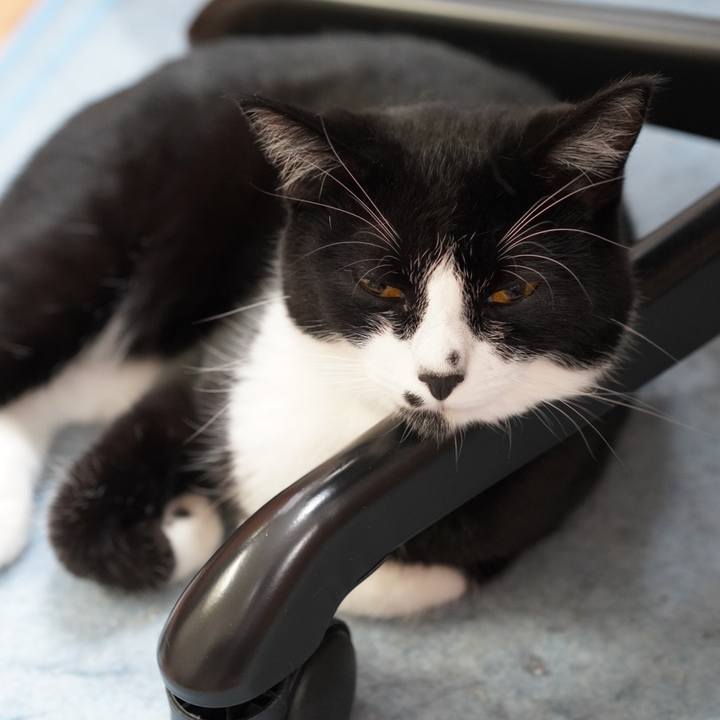 14a486ed 2074 4954 8246 2fd525141961 1623674115547