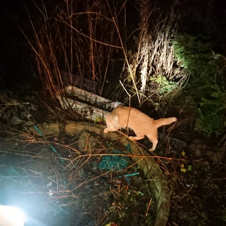 14a48c44 e9d8 453d 91d4 e0c8a3341241 1639570283623