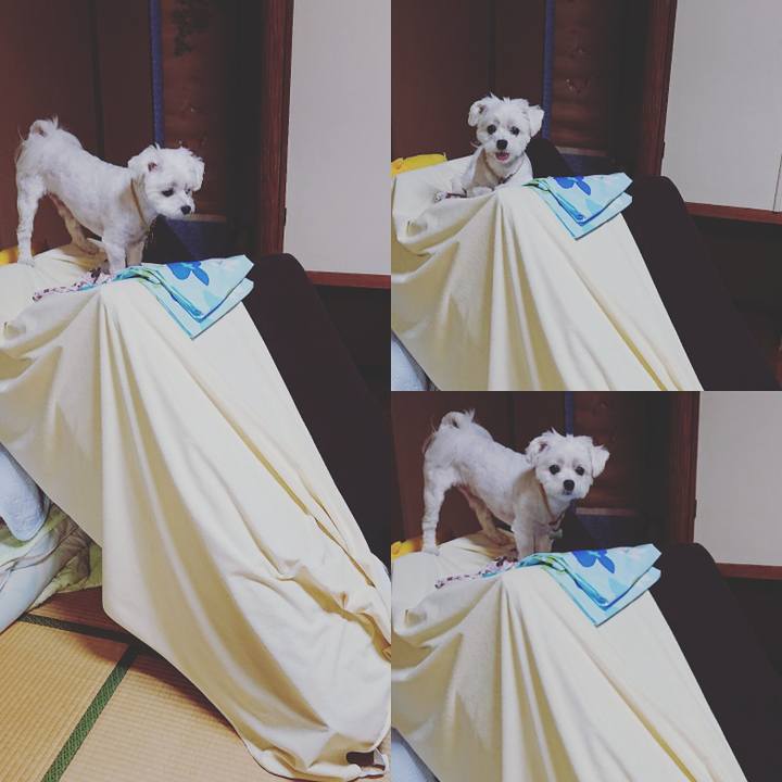 14a49a7a e22e 4349 b26a 2d999d5caa7a 1533712356745