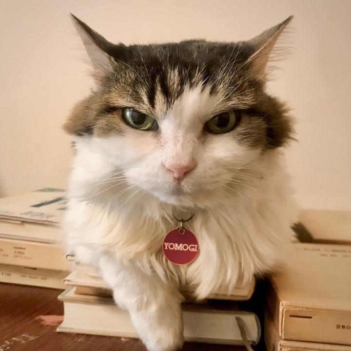 14a4b698 9f1a 4d22 92c5 a822e7204779 1672414394023