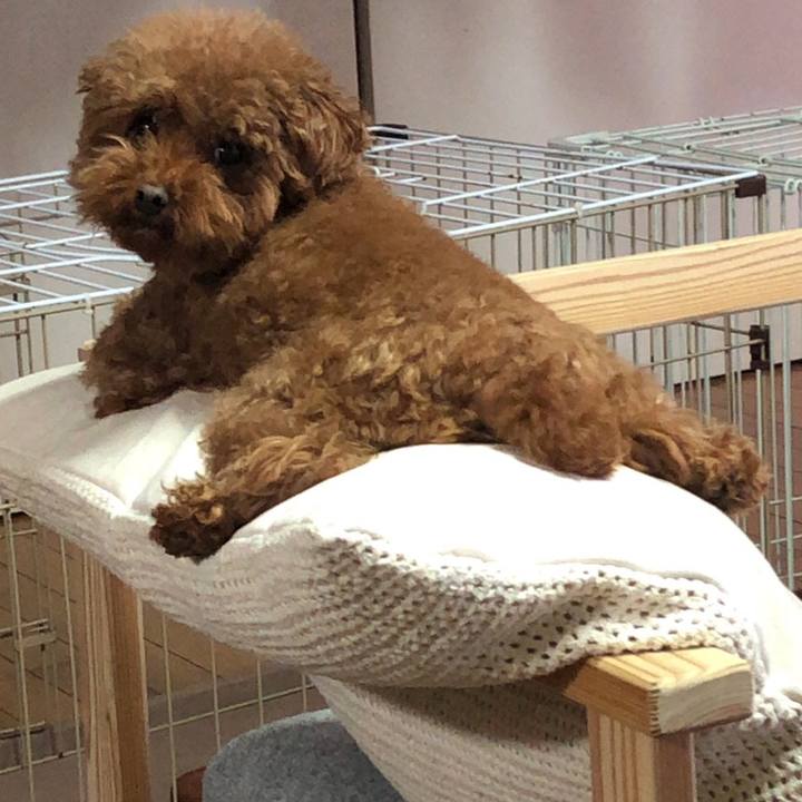 14a4d0e5 1b1e 48d2 967a 367ac66f819c 1574465893821