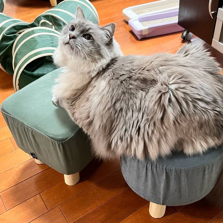 14a4dae1 4009 4f0a 83e4 0aaca4f26e37 1674002408742