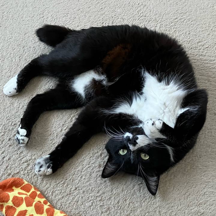 14a4ee55 a633 4c21 a2e3 0d33b43c3a84 1750393192002