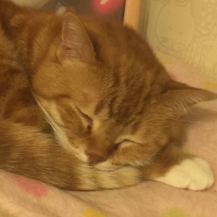 14a4fa3e 69e0 4861 85da cd7a74a43e9d 1552133320047