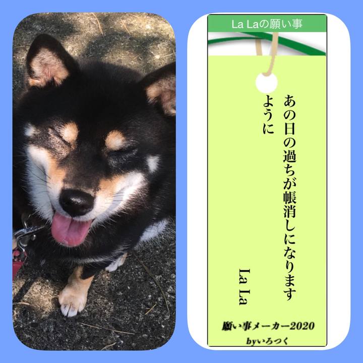 14a50190 988b 4ca4 9d3b 68fd72195f3c 1594173962042