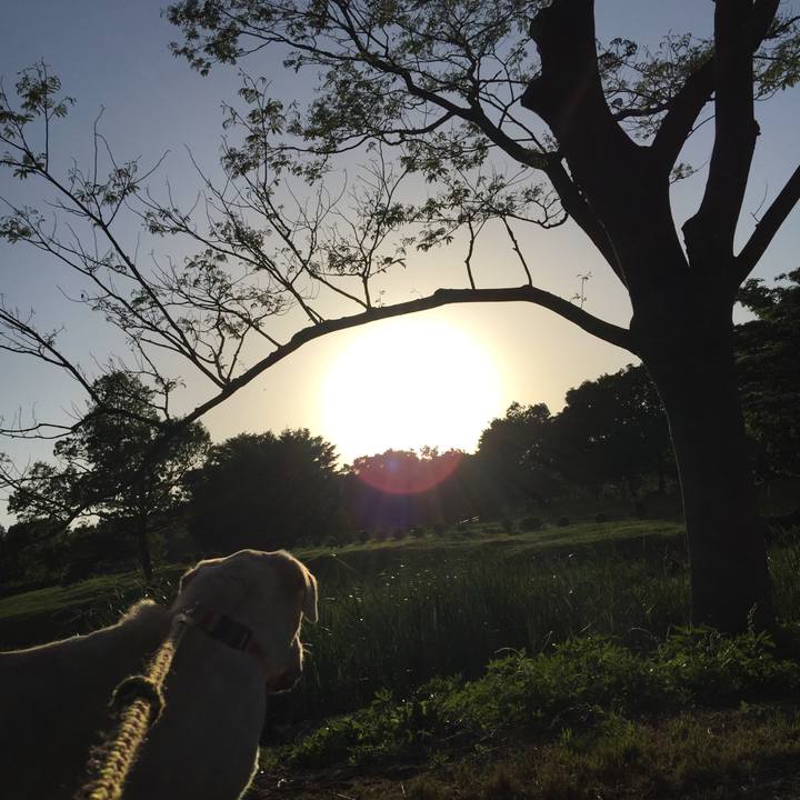 14a53678 c5db 4793 b64f a461ab6bda14 1527329381733