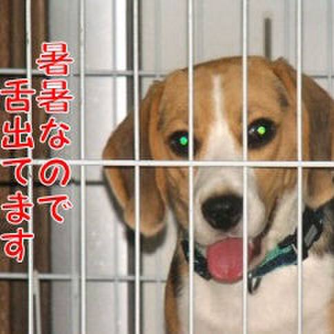 14a54f5e 2df3 4cec b417 6461d1e19283 1684540292473