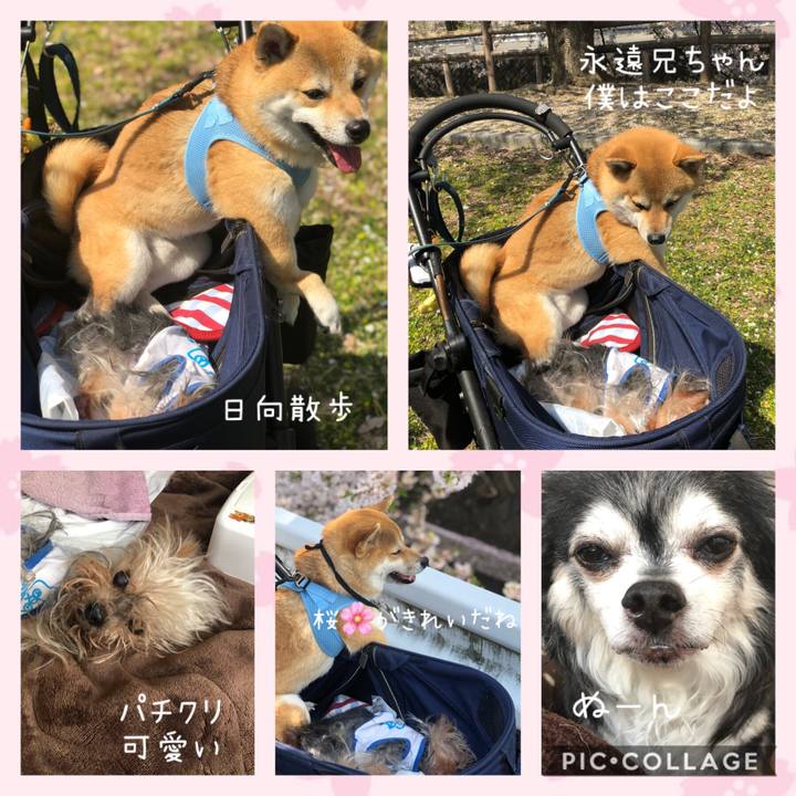 14a55791 dd46 48f0 898b 538da90c9717 1554531240847