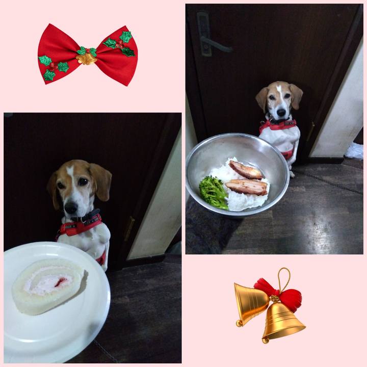 14a55a75 0965 4afa a8c6 237c31916ce6 1703422811998