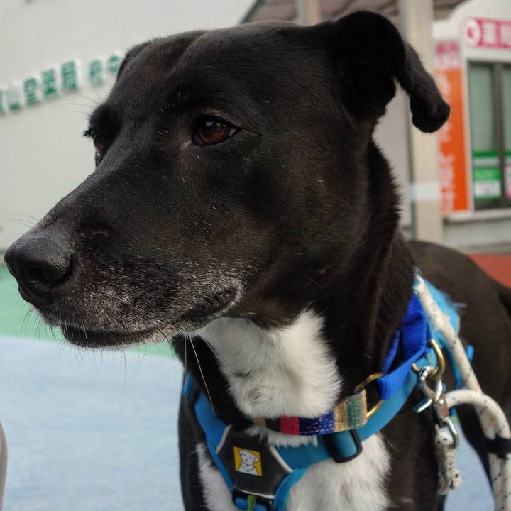 14a56252 9143 4077 bf40 fc77af922700 1635813622691