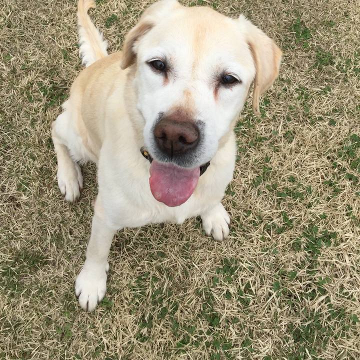 14a5654c 8624 4587 bb8f 77aea10fd777 1582627054140