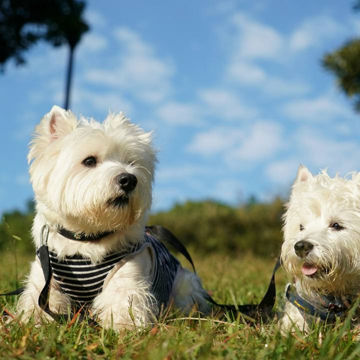 14a5848f 7d13 4823 a1ee 4bba4e93318c 1512213867781