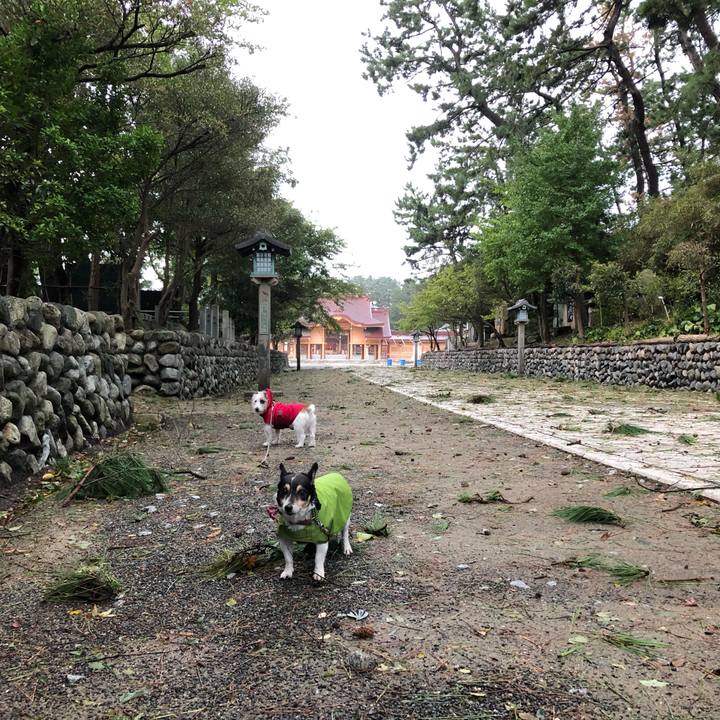 14a58de2 2091 435b a831 ab3010061514 1570918716232