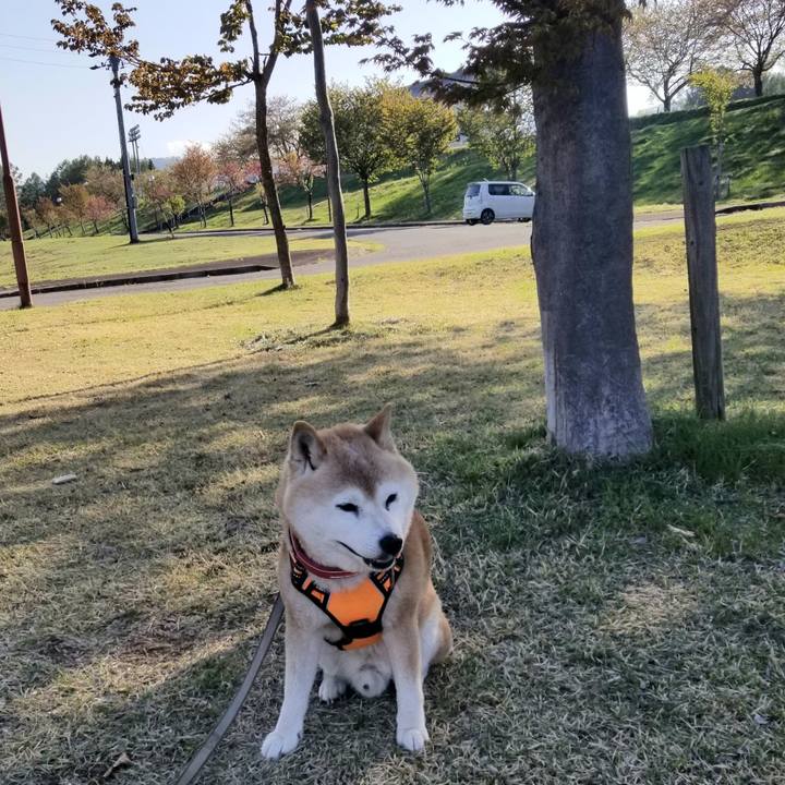 14a5ad3e f961 49b8 8a4a a9c7b341cfd3 1714029644511