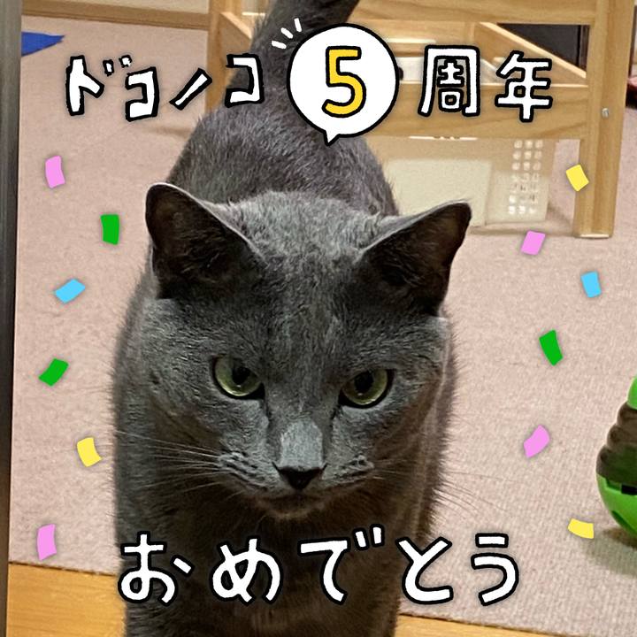 14a5cd5f e4d1 49b8 b369 5c5f7c10ba98 1622882301124