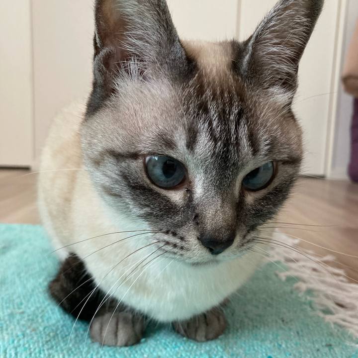 14a5d021 e779 4087 b745 74ebdfda74ee 1650497141305