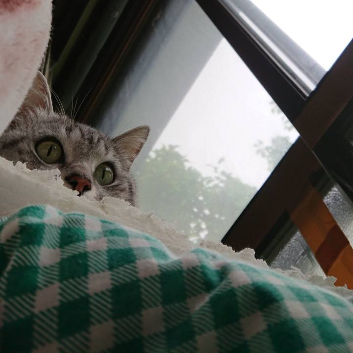 14a64dfc 6e7a 4fad 8a22 c72f6efe092e 1559633397107