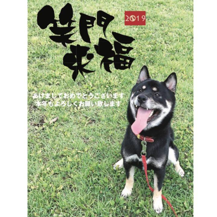 14a65826 6760 4bfb 997c ce0ec0086d0f 1546503653069