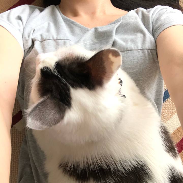 14a680d2 fbfd 43dc bfc0 37876e80b0a2 1529125230259