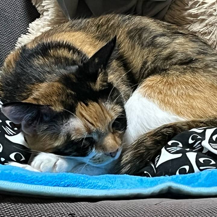 14a6a4ff e7ee 417f b8bc 0c940c906b33 1666705559620