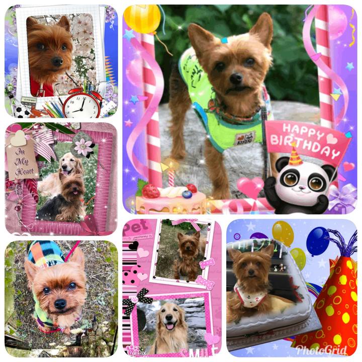 14a6ec31 644f 4ca0 96e4 48b455df1486 1562885205801