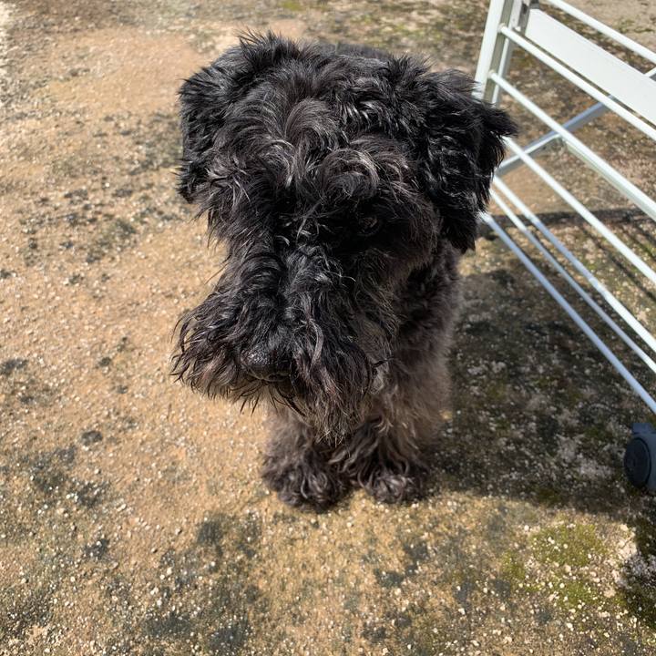 14a72a10 de28 4693 84b2 55319a7012bc 1590275535919