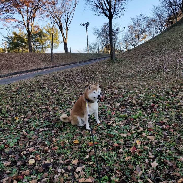 14a72b98 4e88 4e65 8522 759519c71cd4 1667718014507