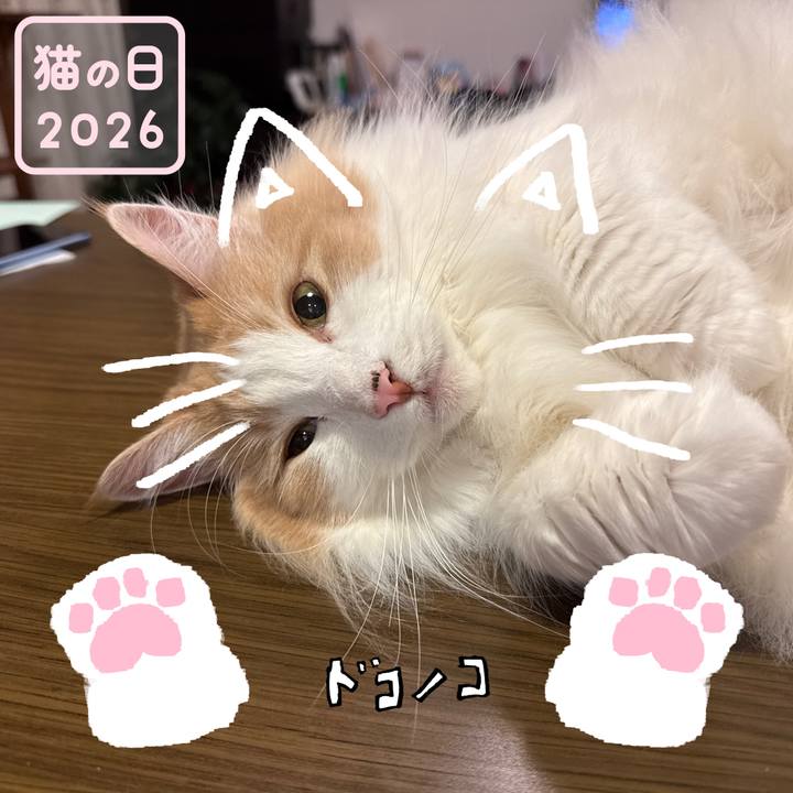 14a74a8f a3a2 409b aea0 cf4b4241ba82 1771756377075