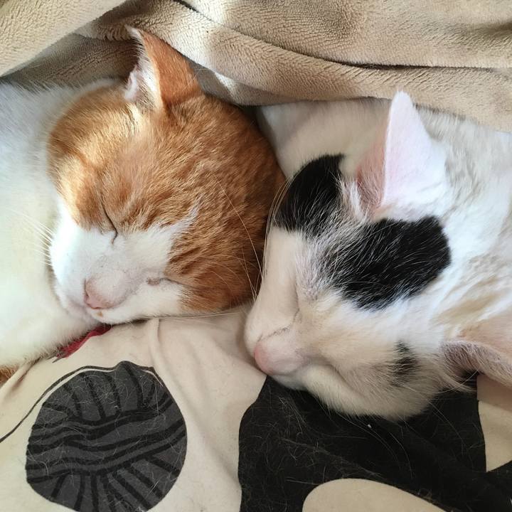 14a7b78c a320 4226 bf72 7bf506631c65 1578045810441