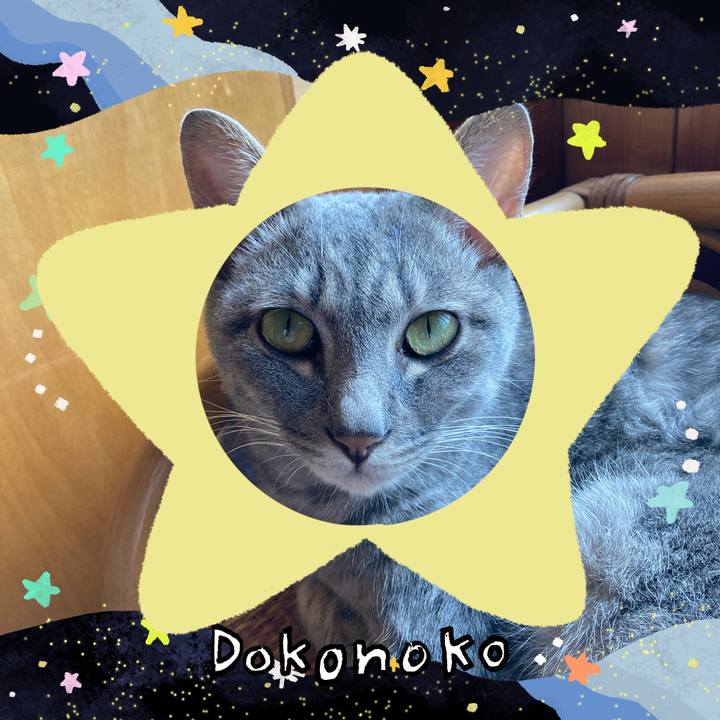 14a7cb8a f956 49e2 be76 5abfa1ceffef 1720842790118