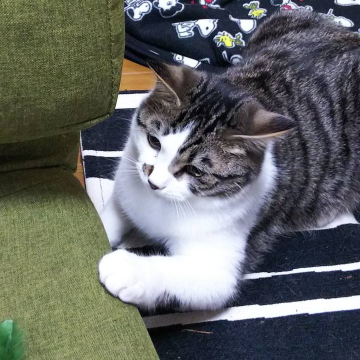 14a7dfb9 bc7d 4017 8618 097a670efff1 1619179383873