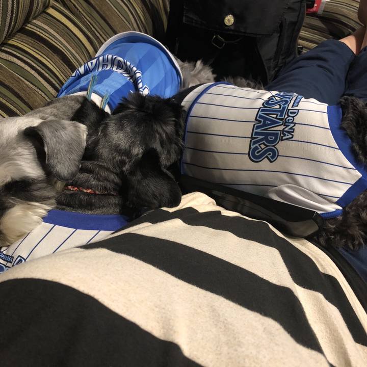 14a8108c feda 4370 8a79 3726b837b8ea 1530353562128