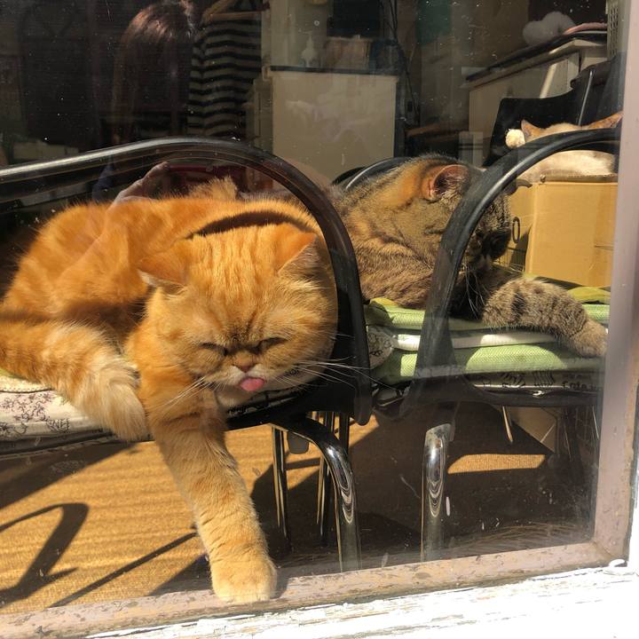 14a83f71 51b1 443f 84d5 c6d06ac88ae1 1646531491211