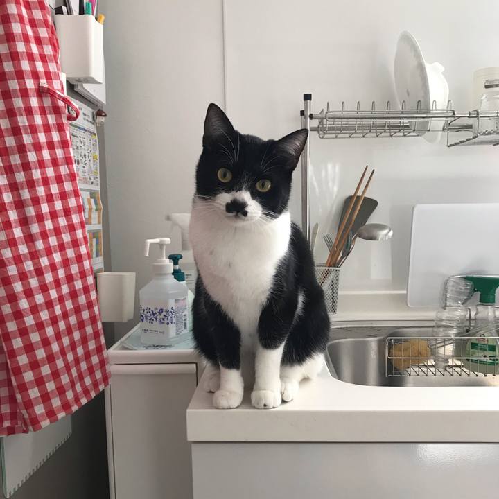 14a84a60 273b 4336 8b6f d86cf8950503 1616039156516