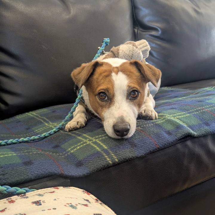 14a856de 80c9 410a 9a0f ce2dcf012115 1770160736615