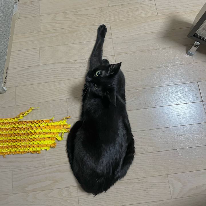 14a88440 65f6 42da b3d4 84867072da43 1675690600844