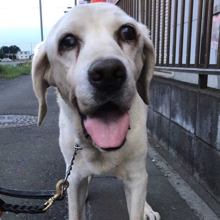 14a88882 e9da 41a8 bccd 2496a313e10d 1509524216251