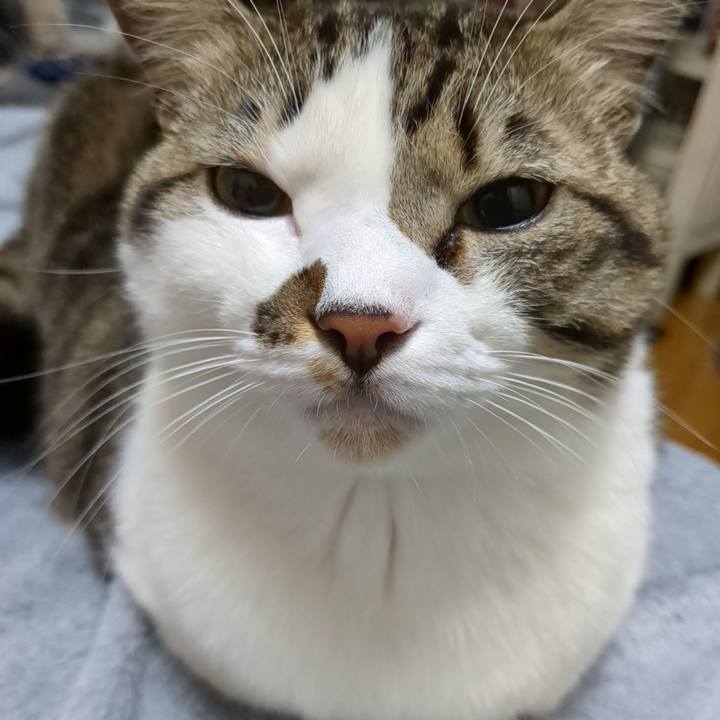 14a8a290 5527 4ca5 aee5 461aead2e7a6 1670585851094