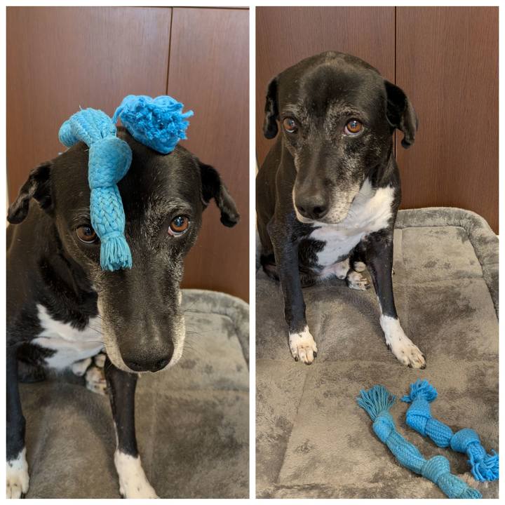 14a8a718 f216 4f1e 88c7 42cf2ca5b81e 1769864593838