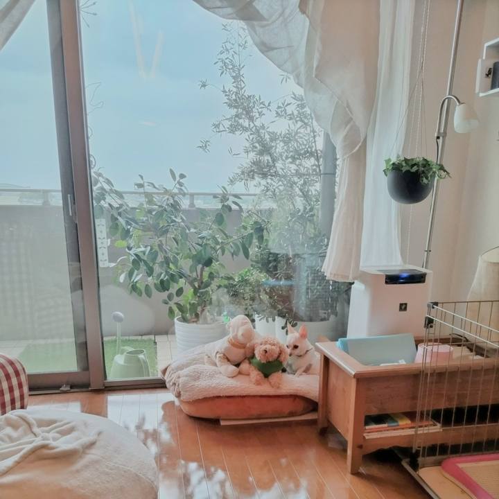 14a90e2d 1f58 4f79 8b0a 192f0e7b8876 1747049230453