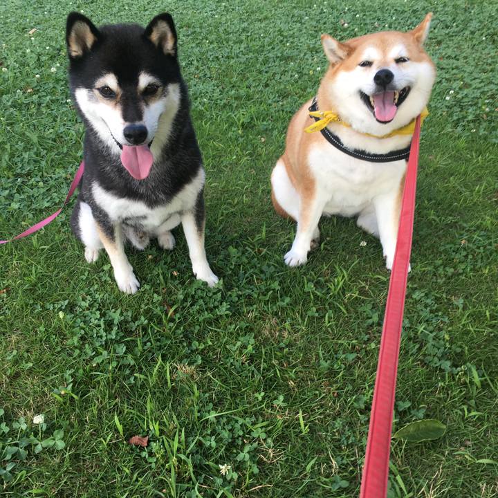 14a927cc 4c5a 4c4a aed8 2e6ba940e008 1626911736899