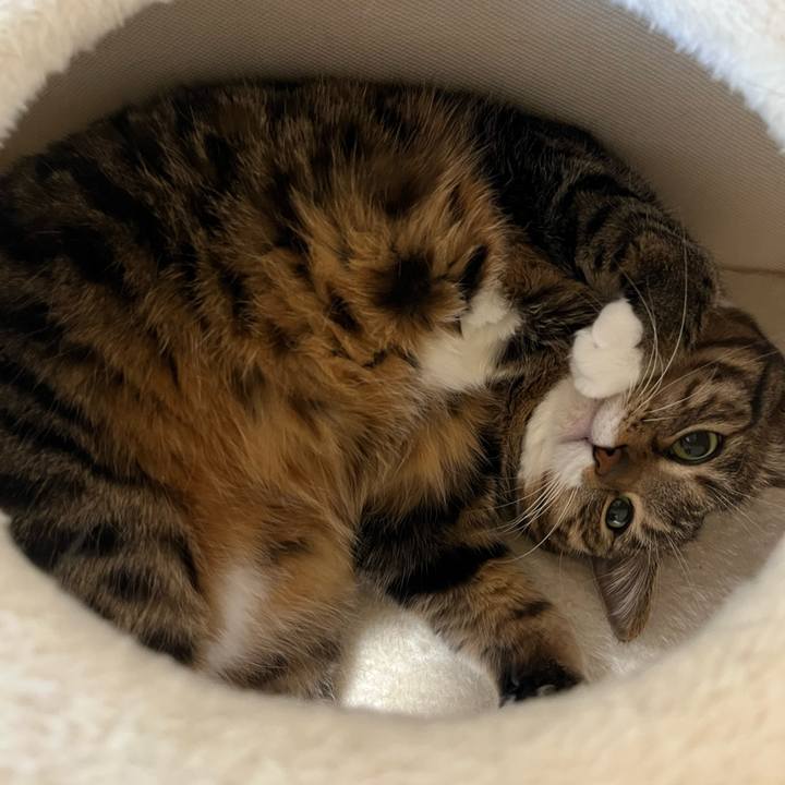 14a94128 1913 4d1e b2a3 140ce0895423 1738718180769