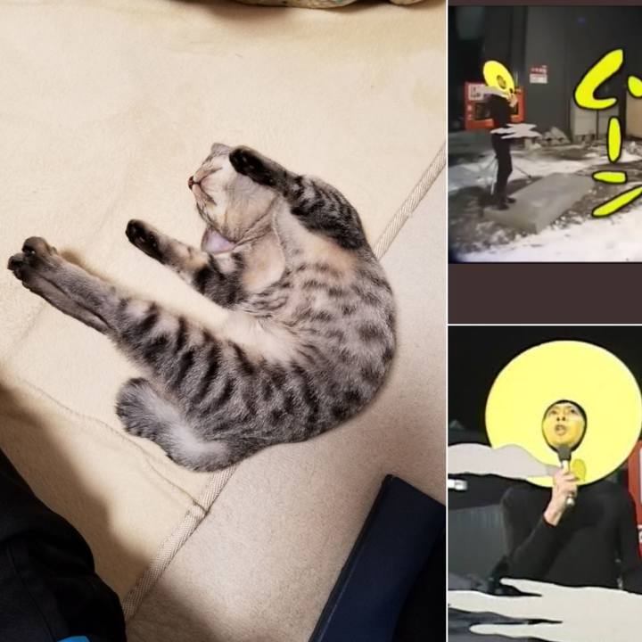 14a94652 cc4d 4a68 86e1 36bf17d86ef8 1669527720889